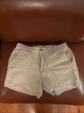 Patagonia Men's Khaki Flat-Front Shorts